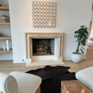 professional Chimney Services